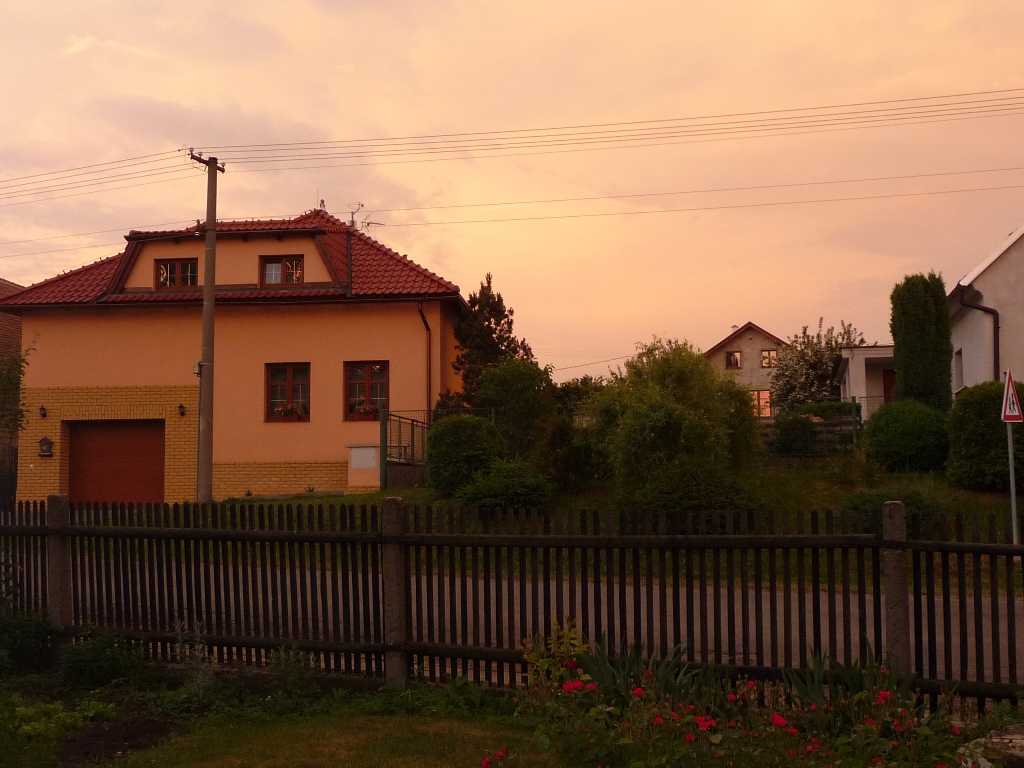 Třibřichy